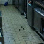 Le Quick de Belleville envahi par des souris