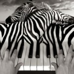 Thomas Barbey donne du surréalisme à la photographie