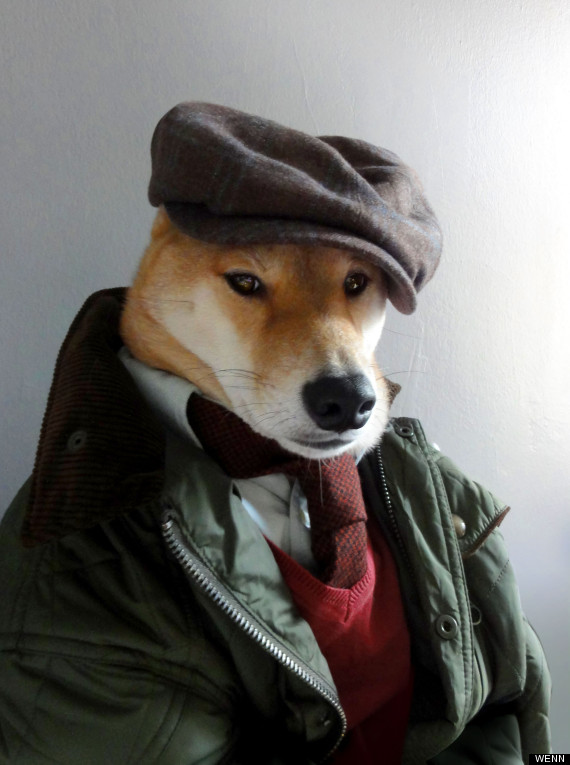 Stylish Menswear Dogs