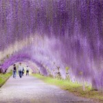 Les destinations les plus fascinantes au monde