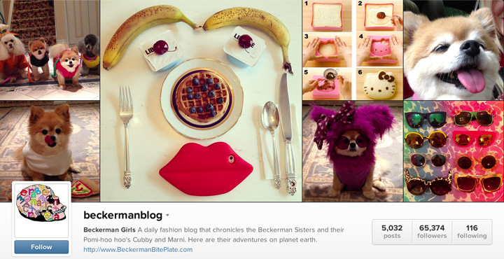 beckermanblog-instagram