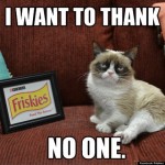 Grumpy Cat, la chatte la plus célèbre sur Internet, devient l&rsquo;égérie de Friskies