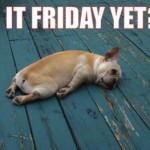 8 sites dont vous ne vous lasserez jamais