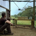 Un corbeau incroyablement intelligent