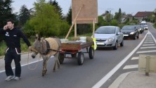 Privé de son permis, il part travailler avec un âne