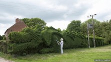 Un retraité taille une haie en un dragon géant