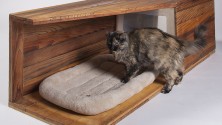 De luxueuses maisons d&rsquo;architectes pour chats