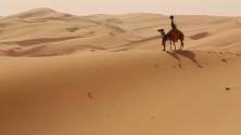Google Street View fait le tour du desert à dos de Dromadaire