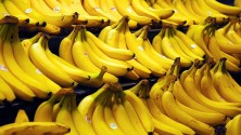 12 choses que vous ignoriez sur les bananes