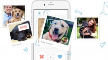Tindog, ou comment trouver l&rsquo;âme soeur grâce à … son chien