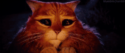 giphy (9)