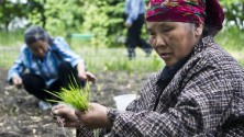 10 remèdes insolites de grand-mère