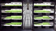 Une ferme entièrement robotisée au Japon pour 2017