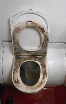 toilette_oncf