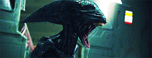 prometheus-gif-546cd09780bdf