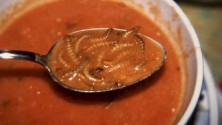 17 plats répugnants que vous devriez essayer un jour