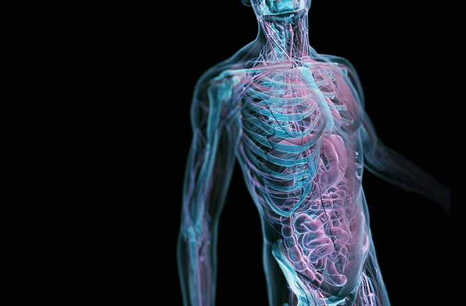 how-many-human-body-parts-remain-undiscovered-131111-670x440