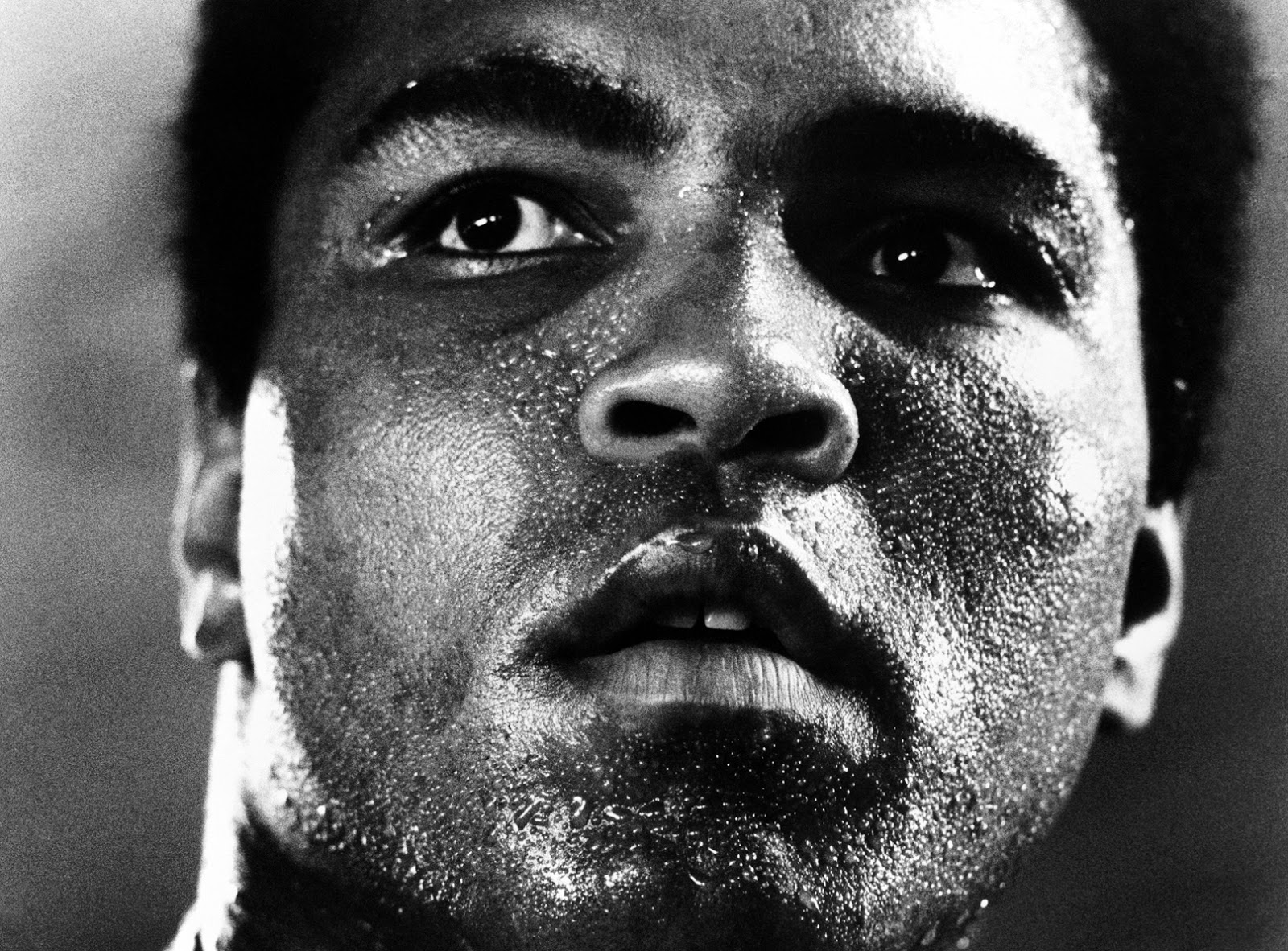 cassius-clay
