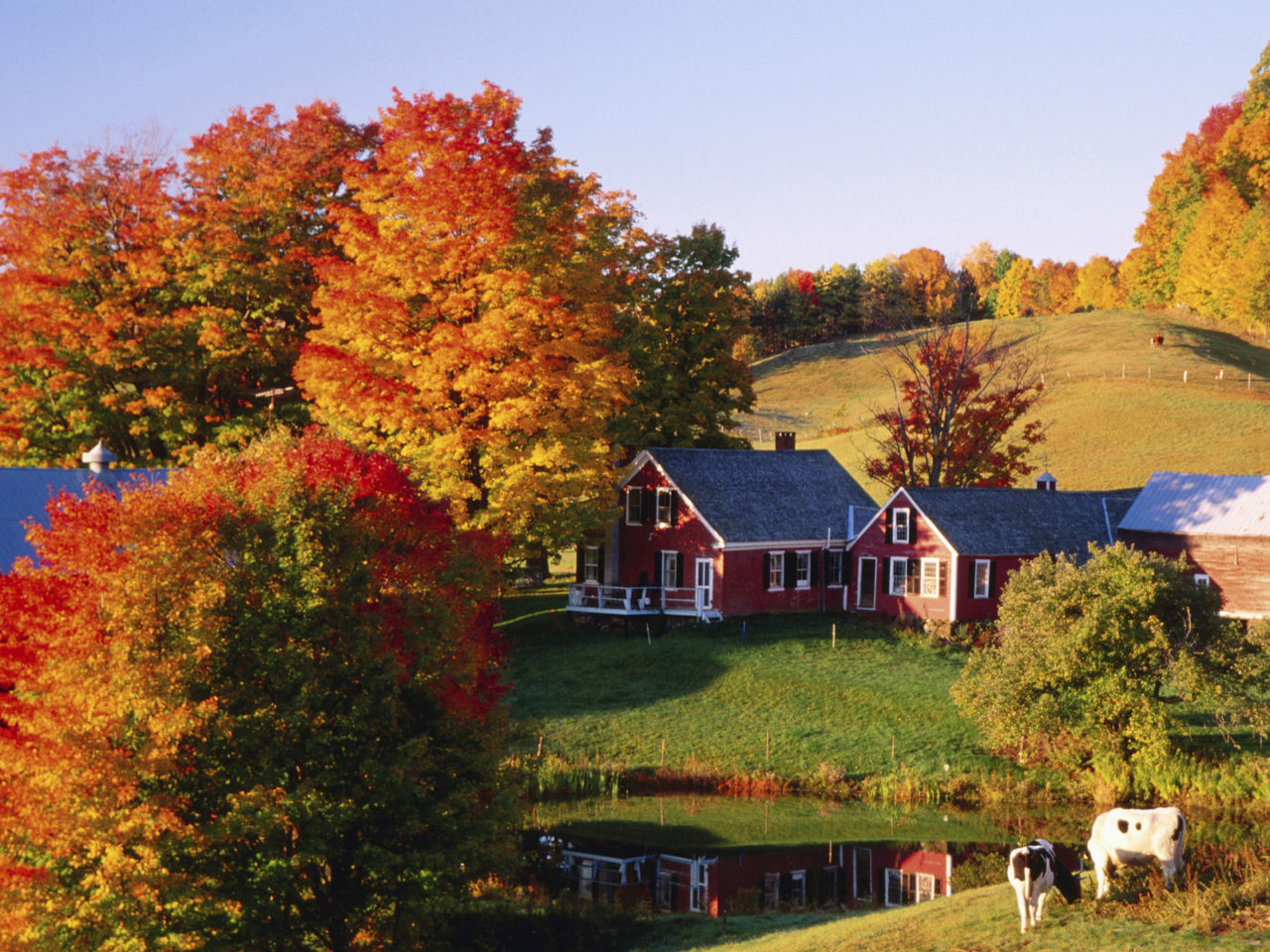 Jenne's Farm with trees in autumn colours.