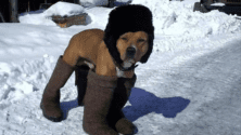 15 émotions que les gens qui n&rsquo;aiment pas l&rsquo;hiver ressentent en ce moment