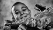 7 bonnes raisons qui font de Aid Al Adha au Maroc le meilleur