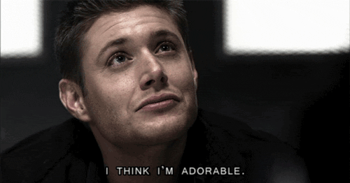 gif-for-everything