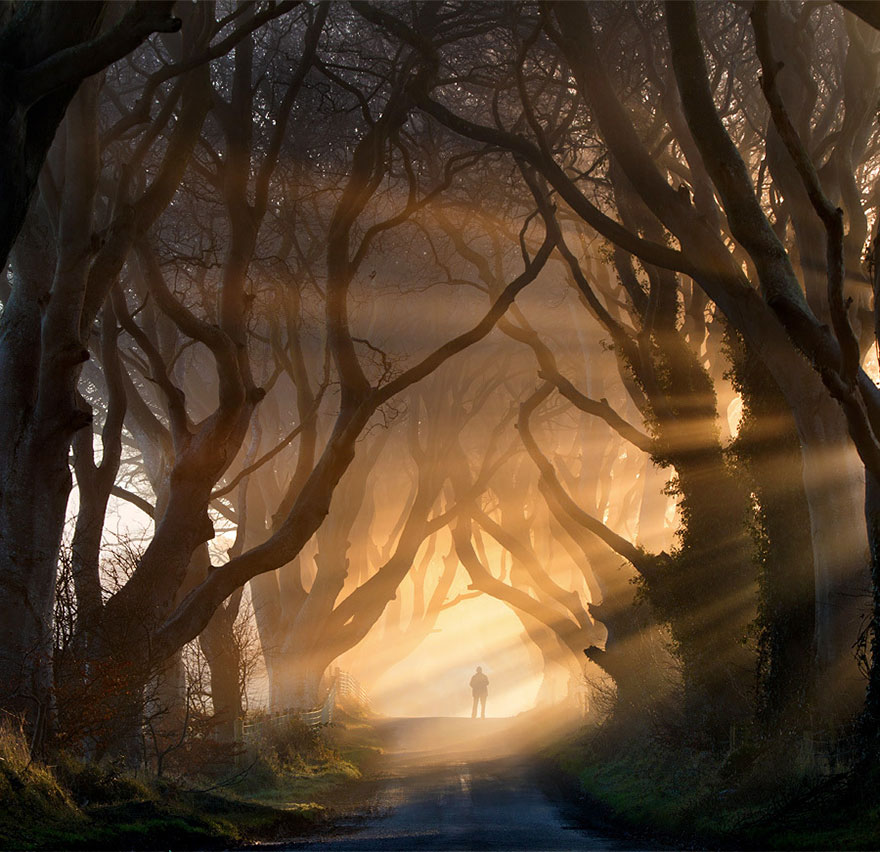 the-dark-hedges-in-northern-ireland