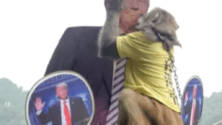 Trump Président : &lsquo;Geda&rsquo; le singe chinois l&rsquo;avait prédit
