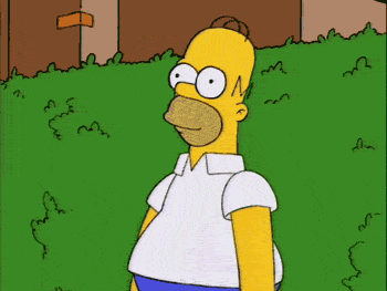 my-reaction-when-i-get-into-an-argument-with-women-homer-simpson-hide-in-bush-disappears