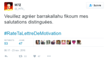 Découvrez les conseils des twittos les plus loufoques pour réussir sa lettre de motivation