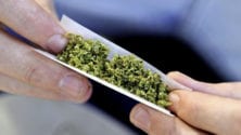 Top 30 des pays qui consomment le plus de cannabis