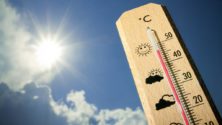 Ce weekend, les températures devront atteindre les 48°C