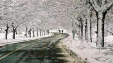 9 bonnes raisons de voyager à Ifrane cet hiver