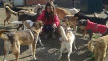 Salima, l&rsquo;ange gardien des animaux de Tanger nous donne une leçon d&rsquo;altruisme