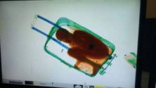 Sebta : Un homme condamné à 92 euros d&rsquo;amende pour avoir fait passer son enfant dans une valise