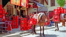 Maroc : Coca-Cola dément son intention de fermer son usine à Tanger