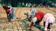 Maroc : Un programme d’autonomisation des femmes dans les régions d’Ouarzazate et d’Essaouira