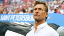 Pourquoi je n’en veux pas à Herve Renard malgré l’élimination ?