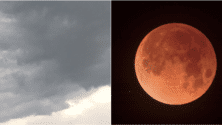Toi non plus tu n’as rien vu de l’éclipse lunaire tant attendue ? Tu n’es pas le seul