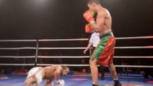 Mohamed Rabii met KO son adversaire en une minute à Marseille