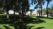 Tanger risque de perdre le jardin de la Mandoubia pour un parking