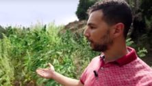 « À qui profite le haschish marocain ? », ce documentaire choc de la BBC qui enflamme la toile