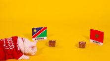 CAN 2019: Mimi le chat délivre son pronostic du match Maroc/Namibie