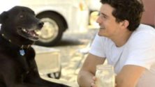Orlando Bloom garde le squelette de son chien marocain