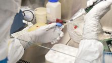 La Chloroquine, antidote au Coronavirus ?