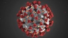 Contaminations au Coronavirus: Le Maroc classé 63ème sur 203 pays et territoires