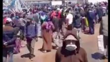 En plein confinement, des citoyens affluent en masse au port de pêche de Casablanca