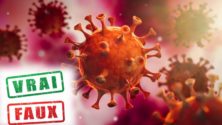 Coronavirus au Maroc : Voici le vrai du faux des informations qui circulent