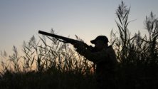 Et pendant ce temps : Un homme d’affaires aurait violé le couvre-feu pour chasser des antilopes à Tiznit