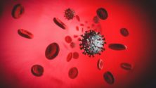 Les personnes du groupe sanguin O pourraient facilement lutter contre le coronavirus, selon une étude